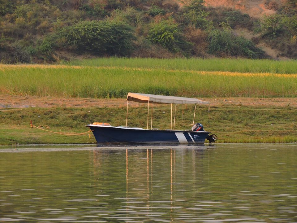 Plan Chambal River Boat Safari For Unique Wildlife
